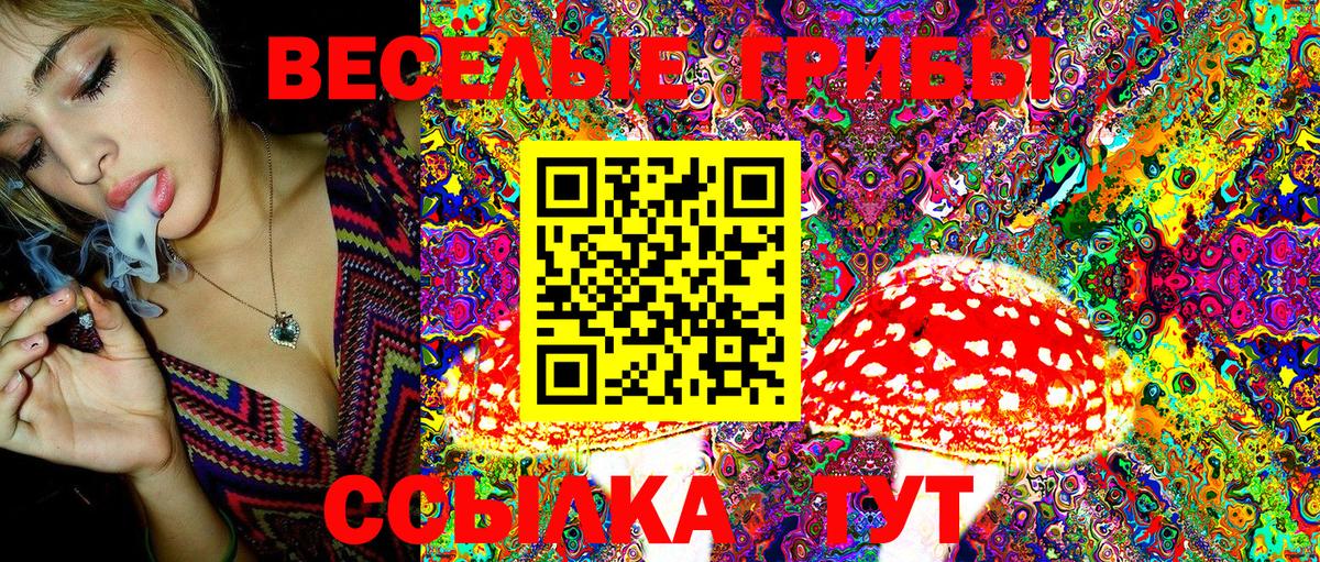 Псилоцибиновые грибы Magic Shrooms  Галлюциногенные грибы мухоморы  Одинцово  Вход с VPN 